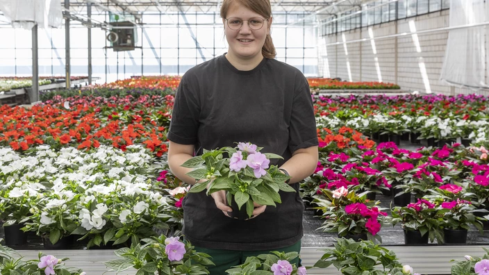 Junge Frau im Blumenmeer