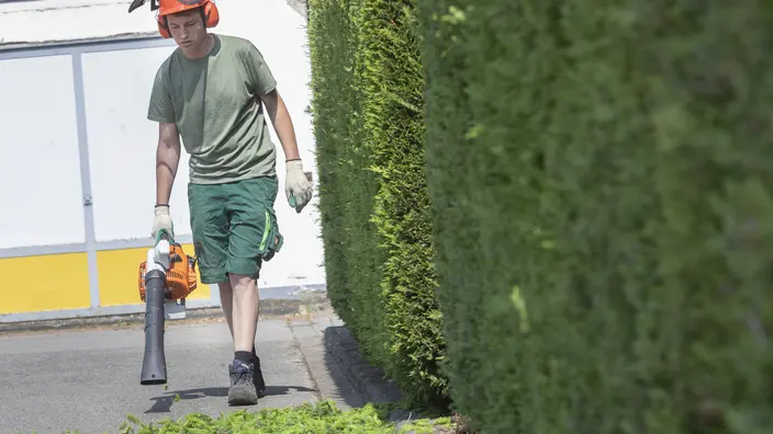 Ein Garten- & Landschaftsbau Azubi in grüner Kleidung und einem orangenen Sicherheitshelm bläst abgeschnittenes Grün einer Hecke zusammen
